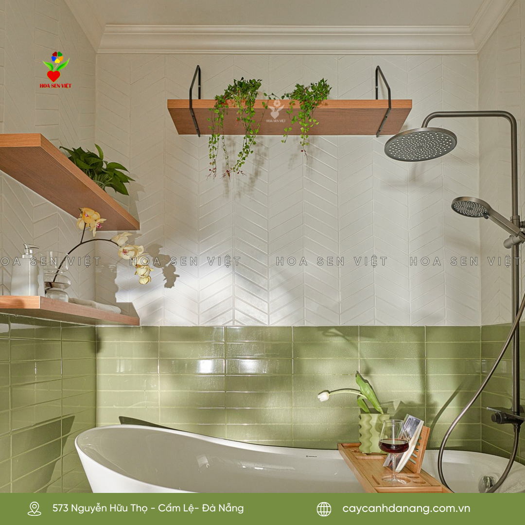 Cây để bàn trong phòng tắm giúp thanh lọc không gian và có hương thơm tự nhiên